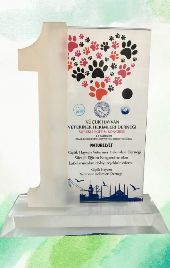 Uluslararası Değerlendirme
