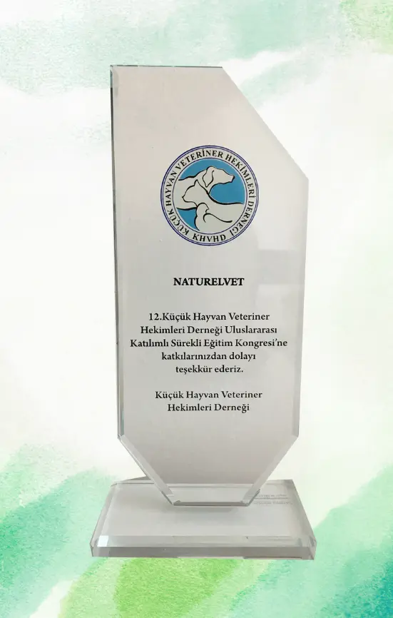 Uluslararası Değerlendirme