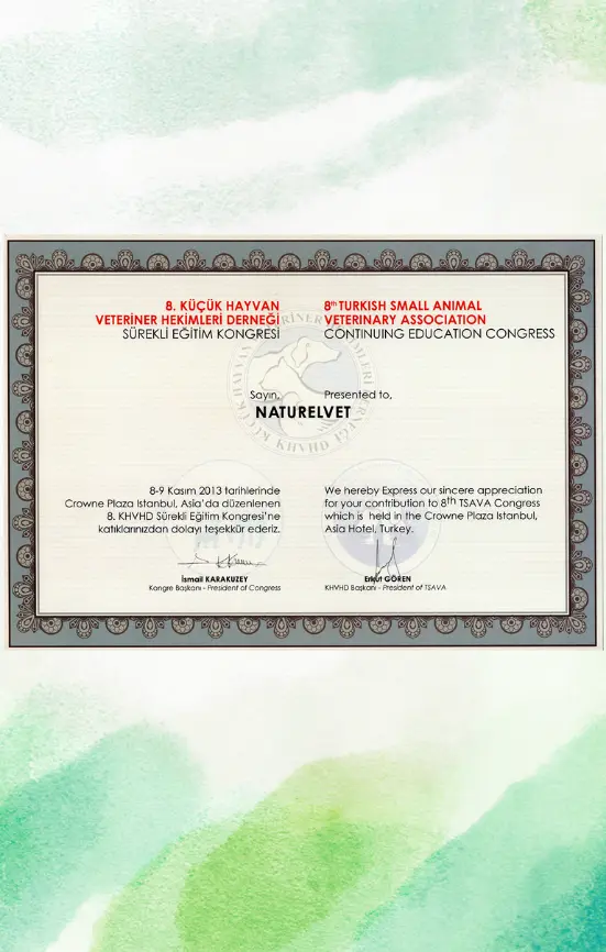 Uluslararası Değerlendirme