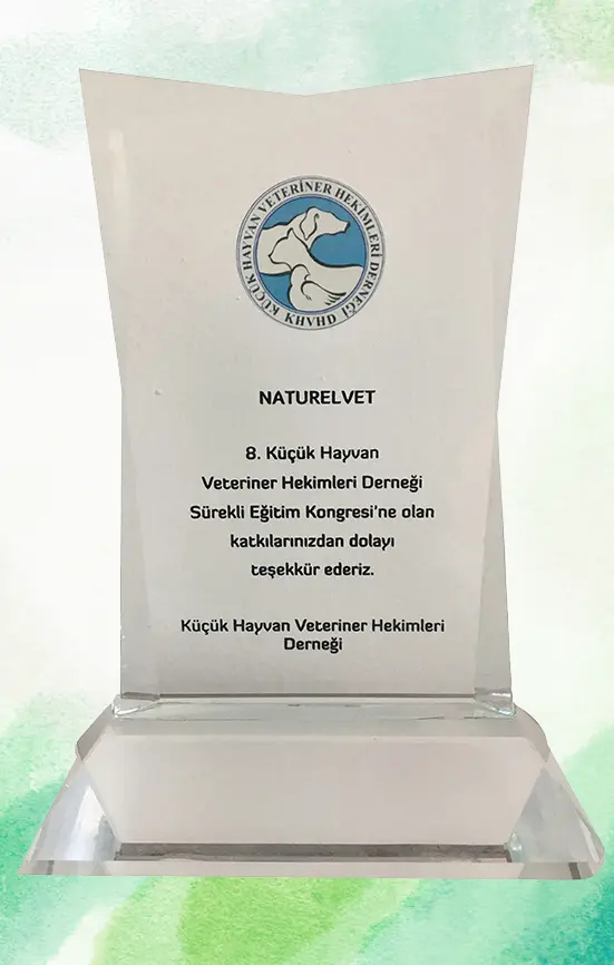2018 – Türkiye